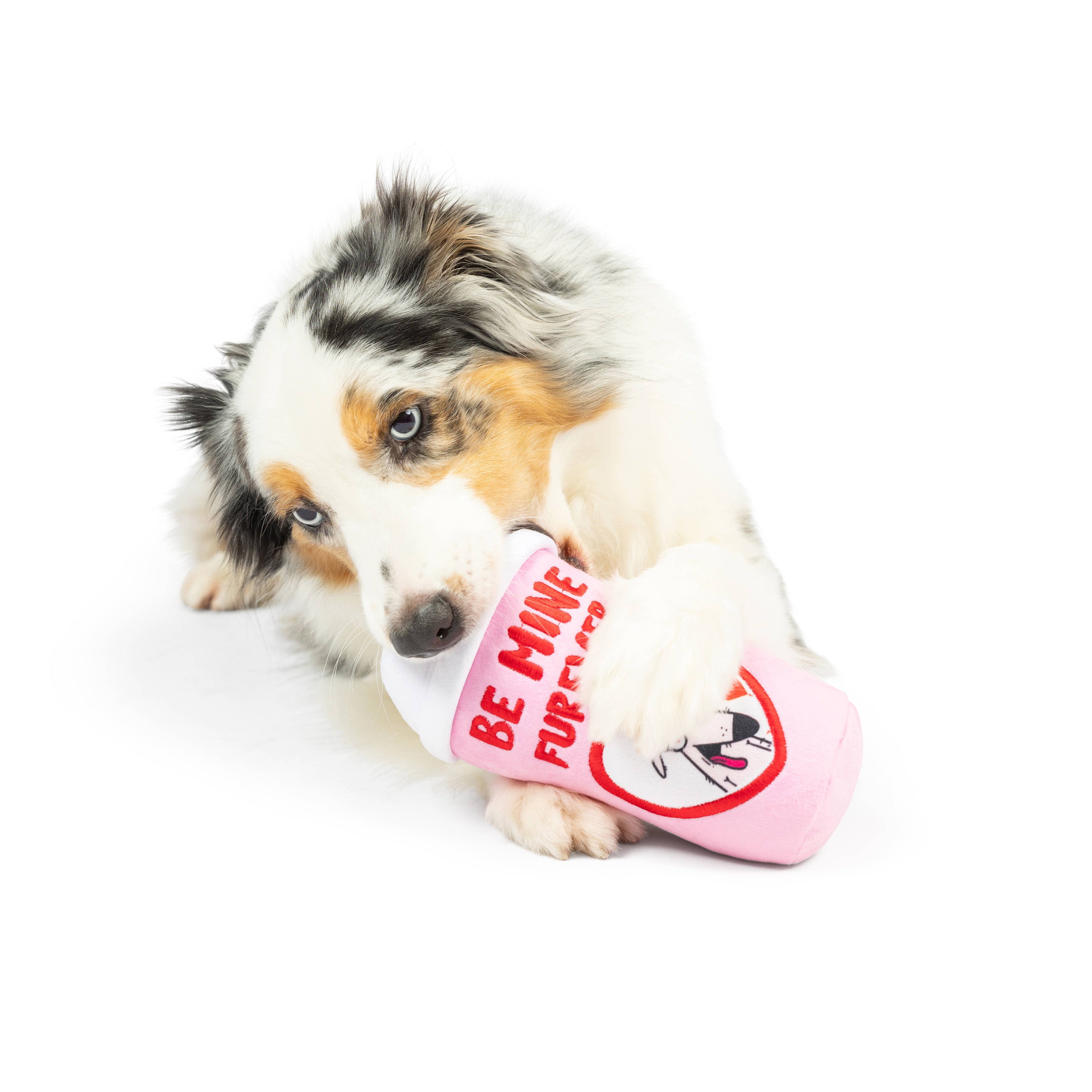 Be Mine Furever Latte Dog Toy (Double Sided)