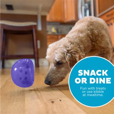 Snoop Interactive Treat Dispensing Dog Toy