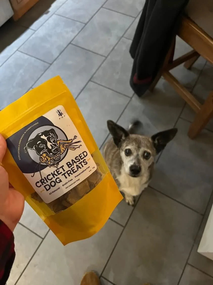 Fifth Dimensional Dog Treats