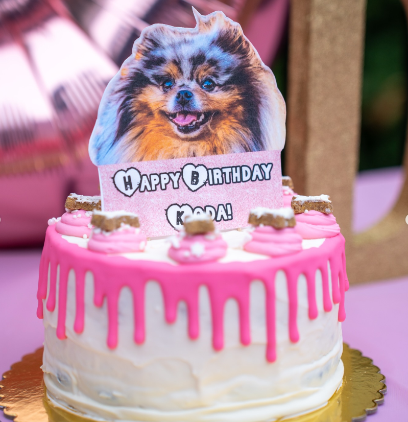 Dog Cake - Style #4
