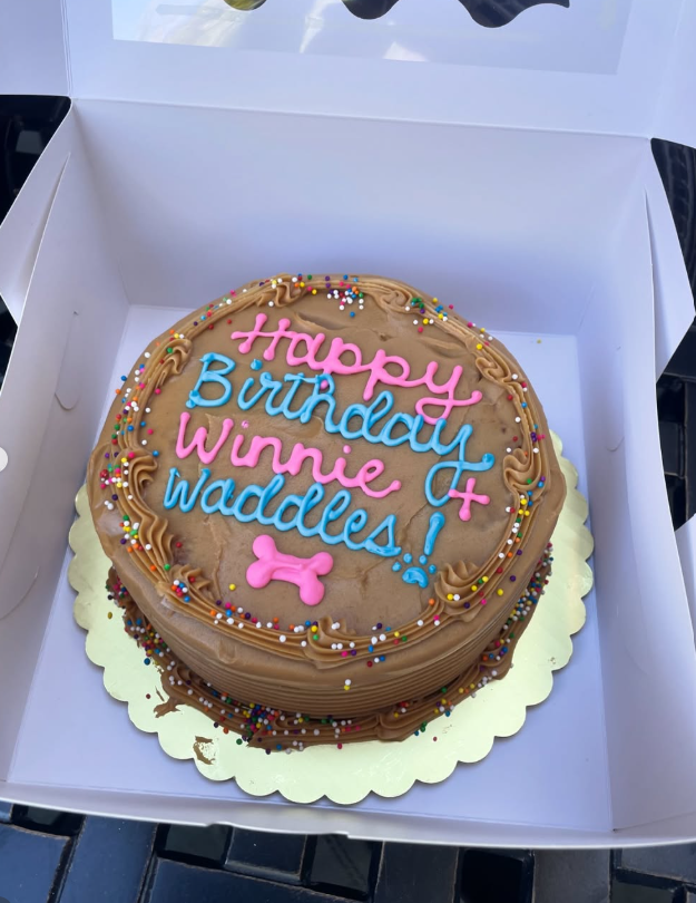 Dog Cake - Style #4