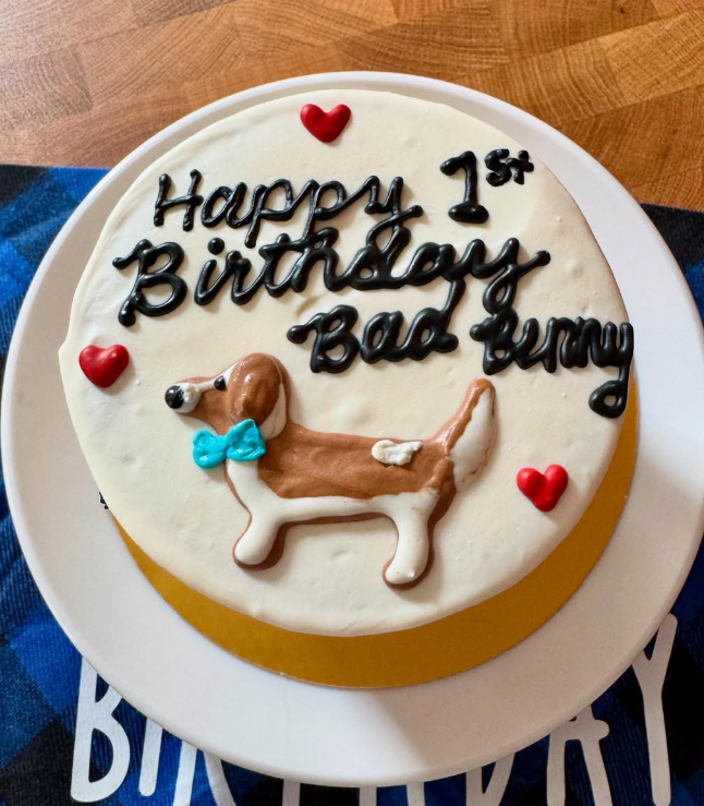 Dog Cake - Style #3