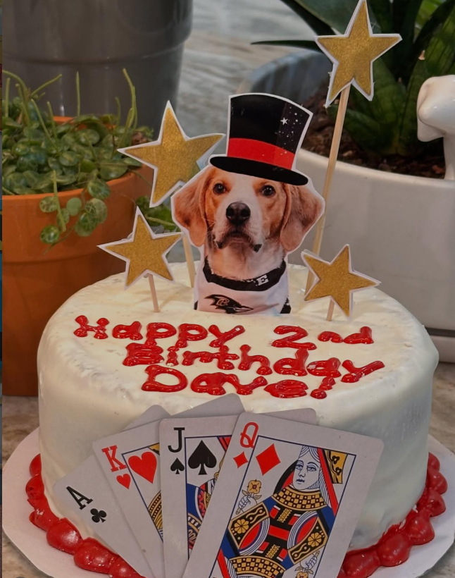 Dog Cake - Style #3