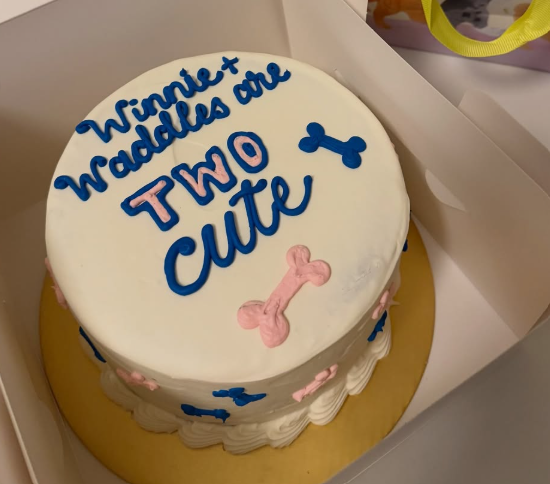 Dog Cake - Style #3
