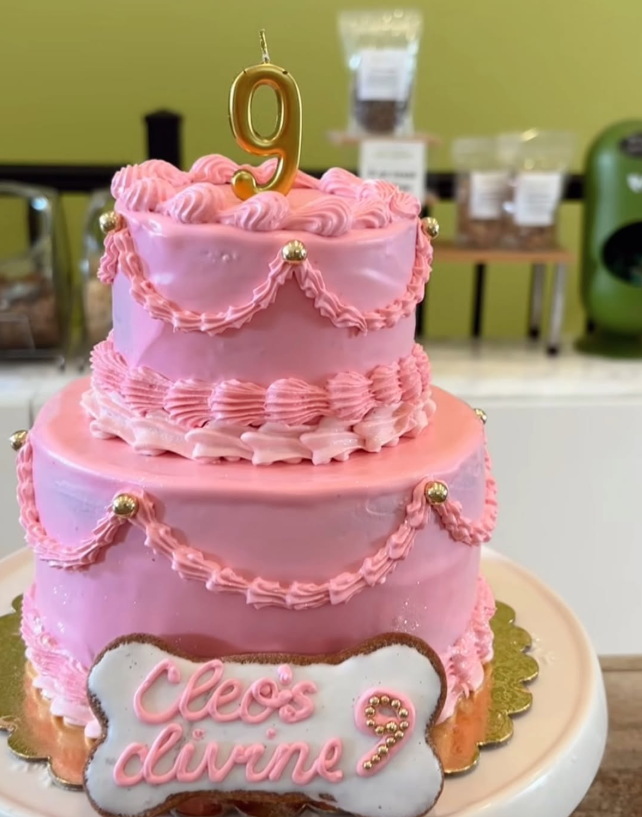 Dog Cake - Style #5