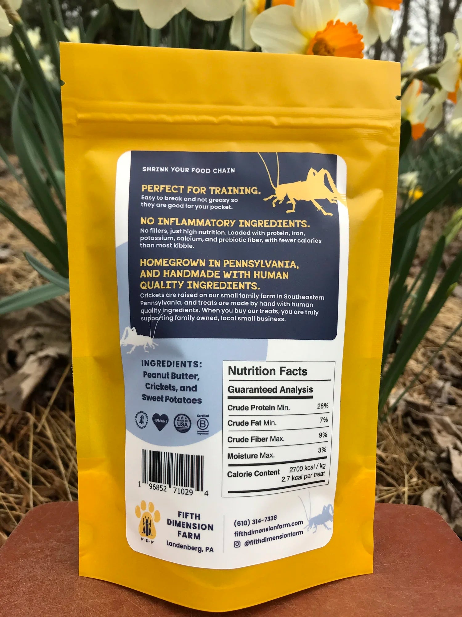 Fifth Dimensional Dog Treats