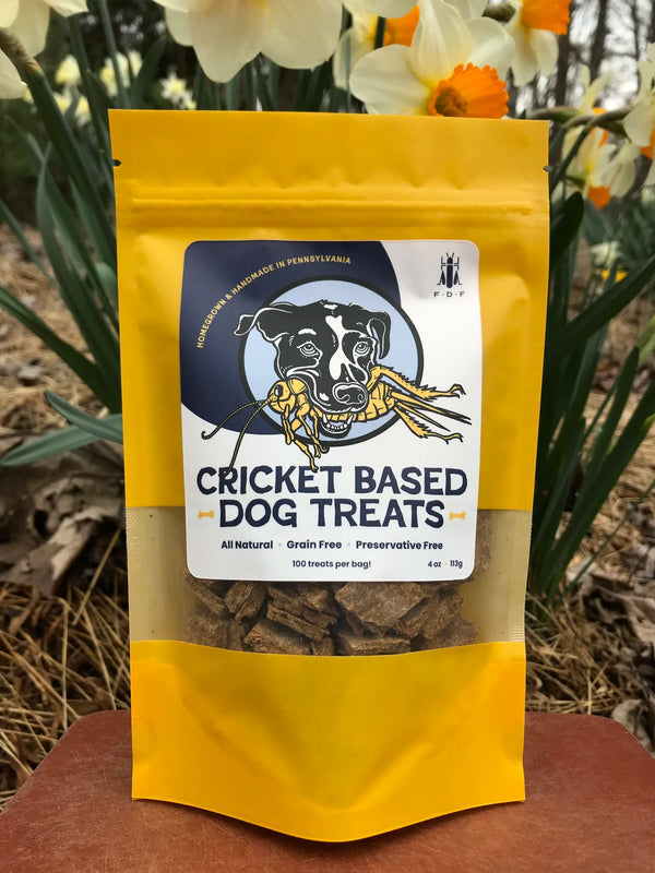 Fifth Dimensional Dog Treats