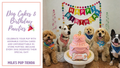 Dog Pawty at Mila's