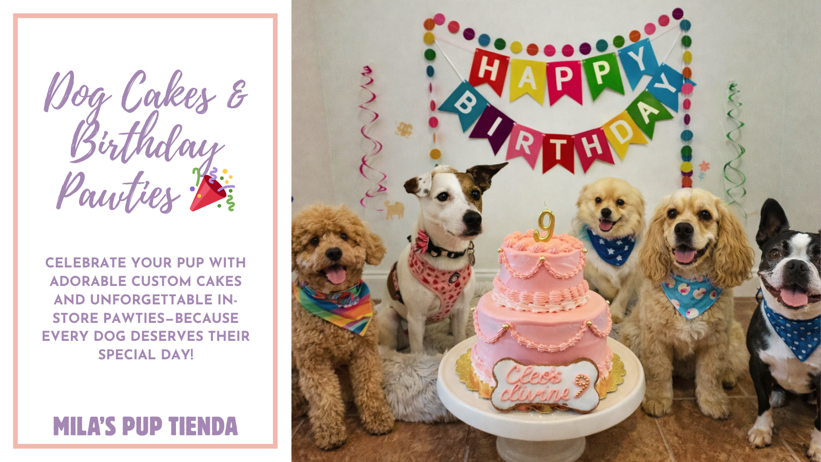 Dog Pawty at Mila's