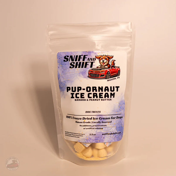 Pup-Ornaut Ice Cream