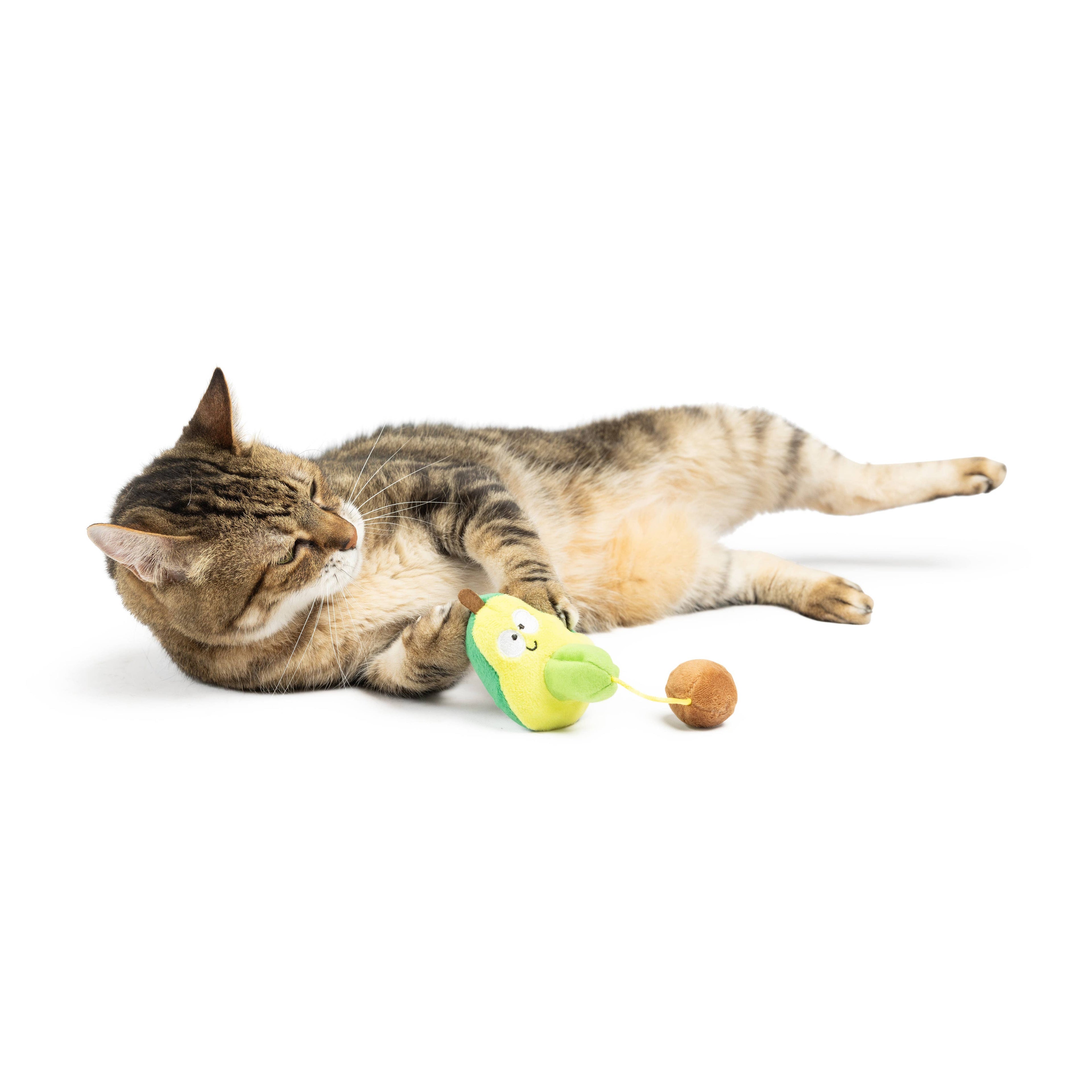 Avocado Popper Cat Toy