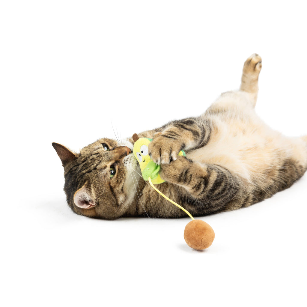 Avocado Popper Cat Toy