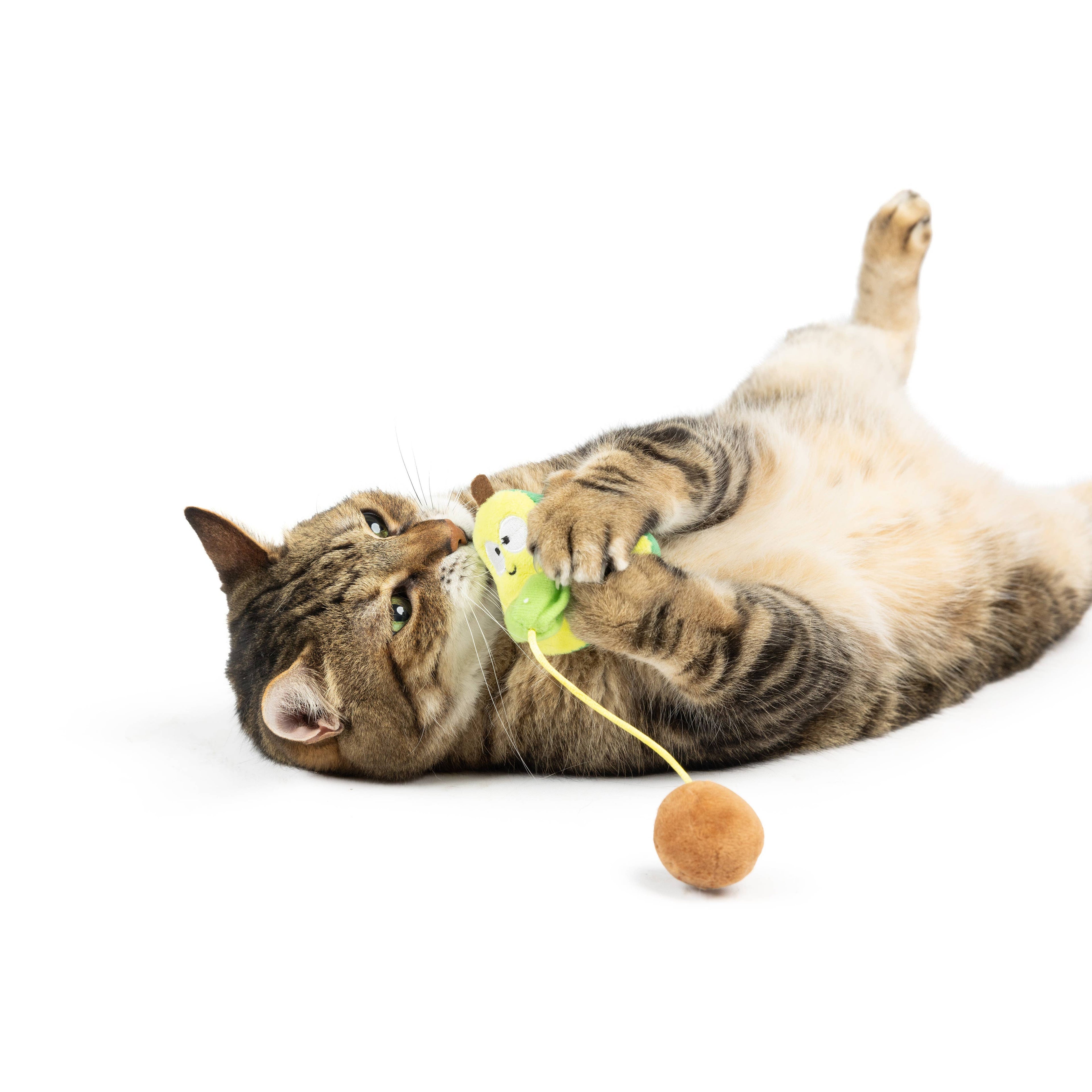 Avocado Popper Cat Toy