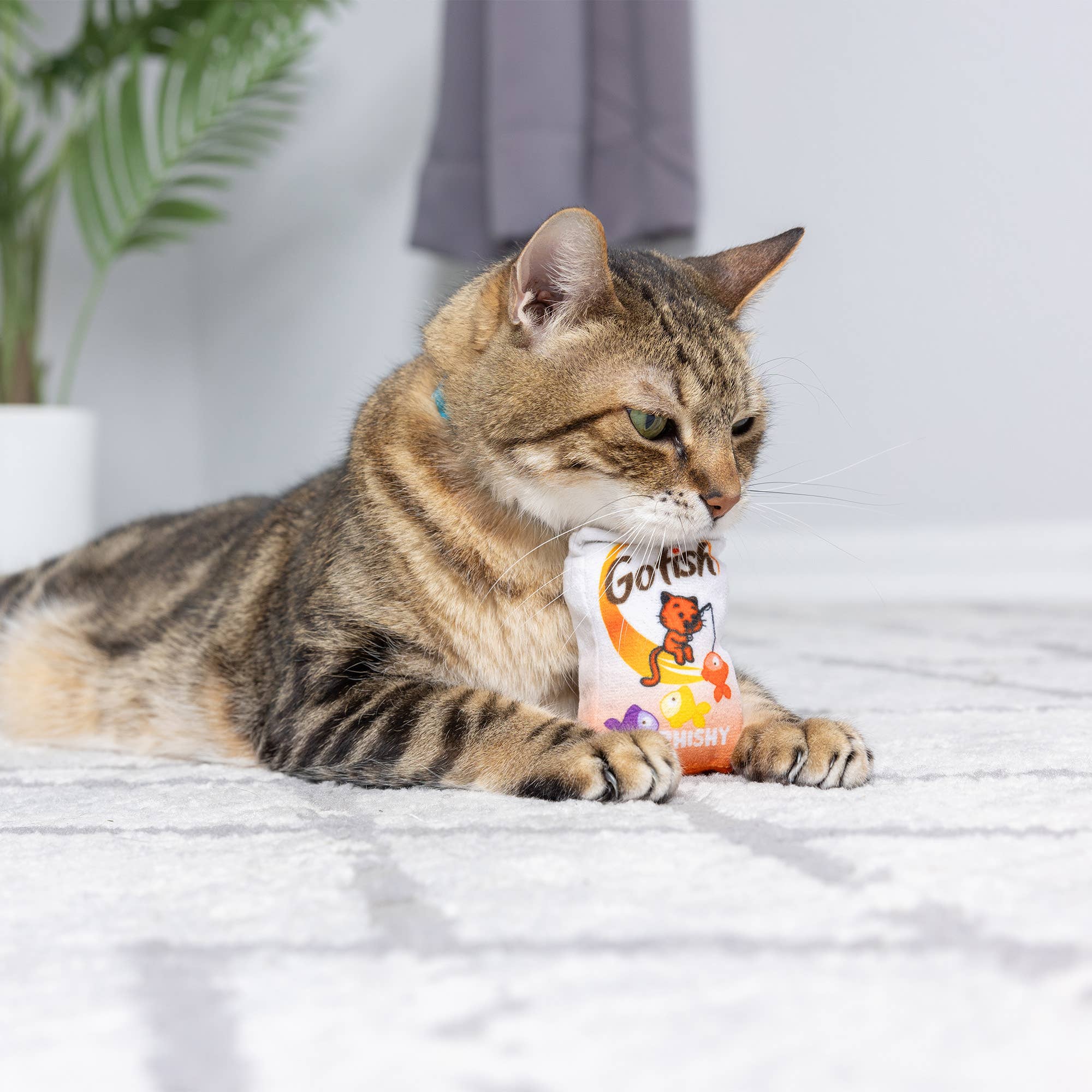 Go Fish Phishy Cat Toy