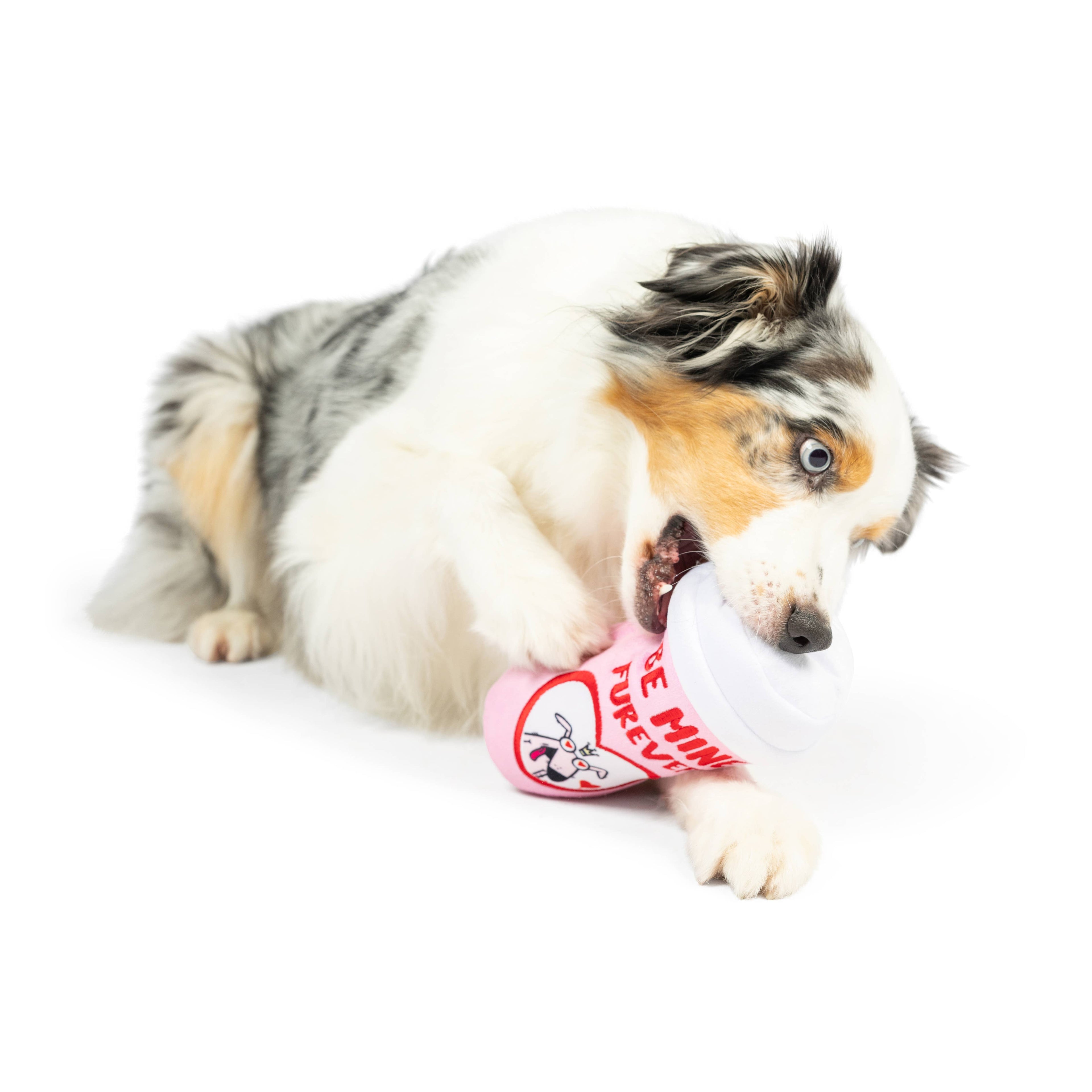 Be Mine Furever Latte Dog Toy (Double Sided)