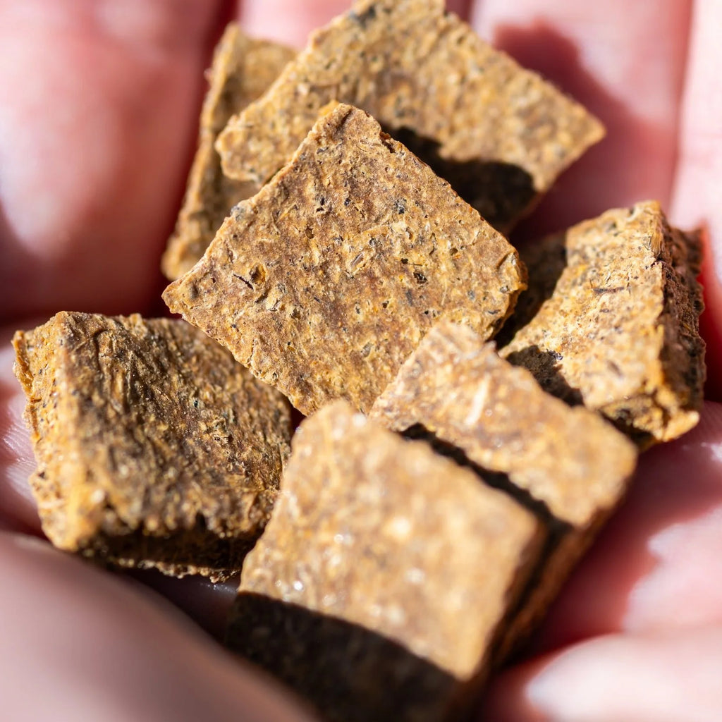 Fifth Dimensional Dog Treats